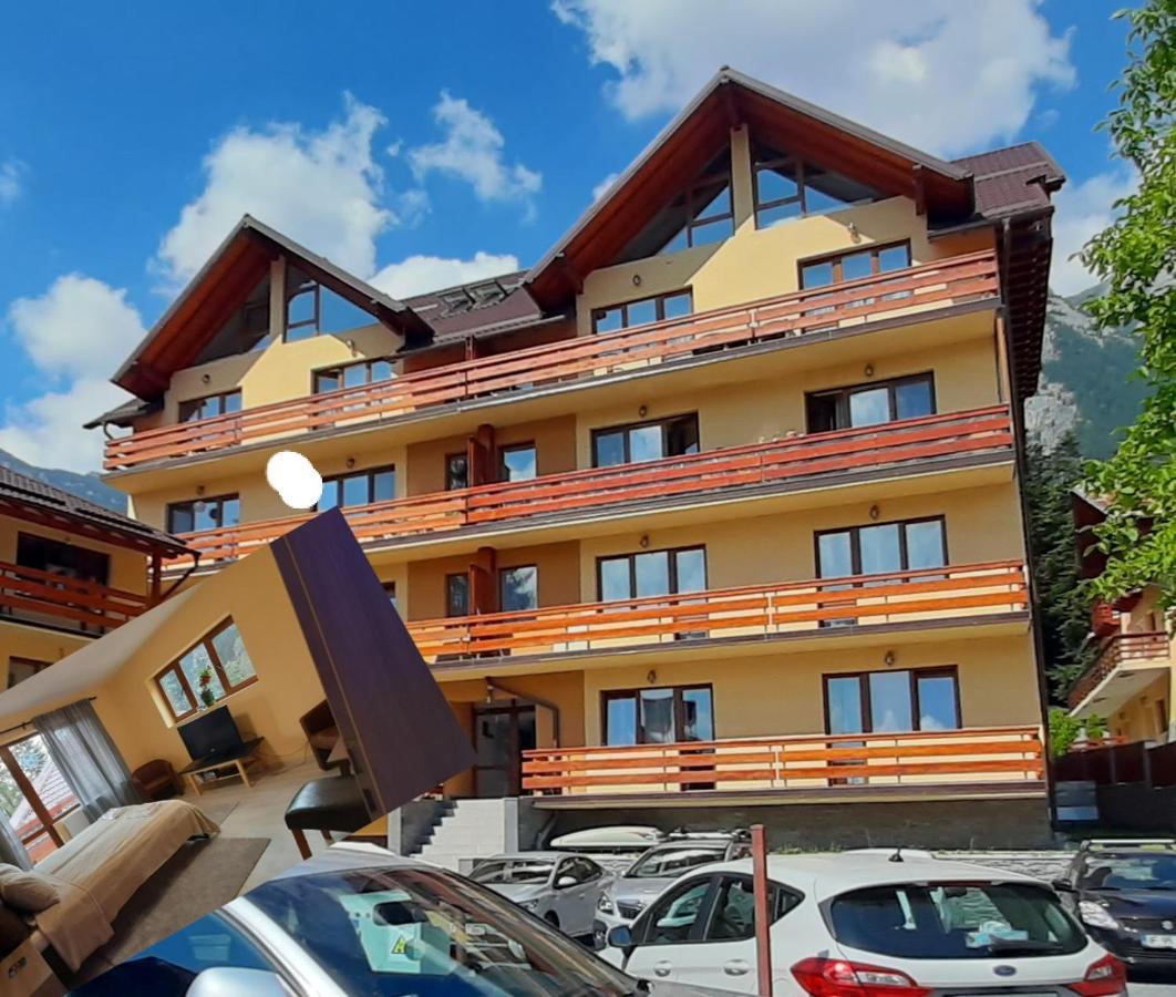 Kalinderu Skier'S Apartament Bellevue Buşteni Exteriör bild