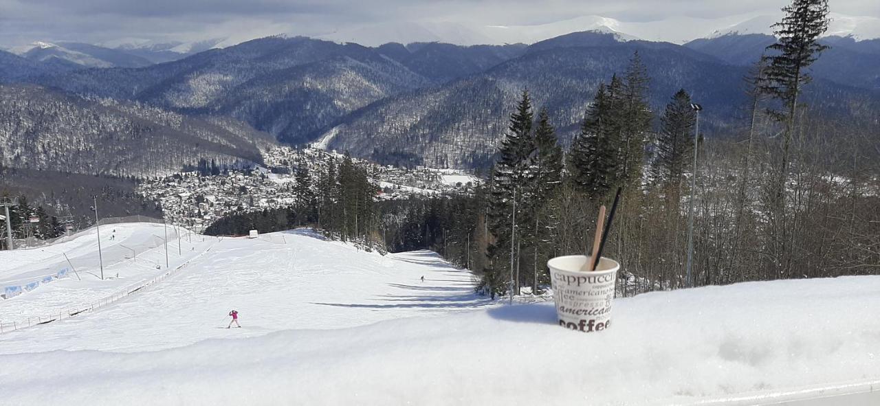 Kalinderu Skier'S Apartament Bellevue Buşteni Exteriör bild